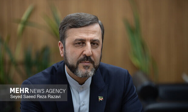 تفاهم ایران و عمان به منزله بازگشایی تنگه هرمز نیست تفاهم ایران و عمان به منزله بازگشایی تنگه هرمز نیست