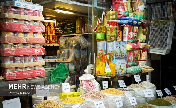 جزئیات پرداخت تسهیلات ارزی برای واردات کالاهای اساسی تا پایان سال