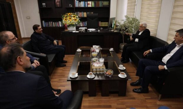 دیدار عارف با معاونان اول دولتهای گذشته به مناسبت هفته دولت دیدار عارف با معاونان اول دولتهای گذشته به مناسبت هفته دولت