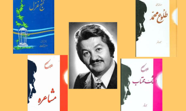 سعدی هم سوژه طنز سهیلی شد!/ یک شاعر، هفت اسم مستعار و هزار جور شوخی