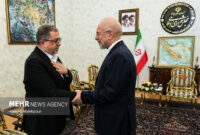 دیدار مسئول ارتباطات اسلامی جنبش حماس با رئیس مجلس