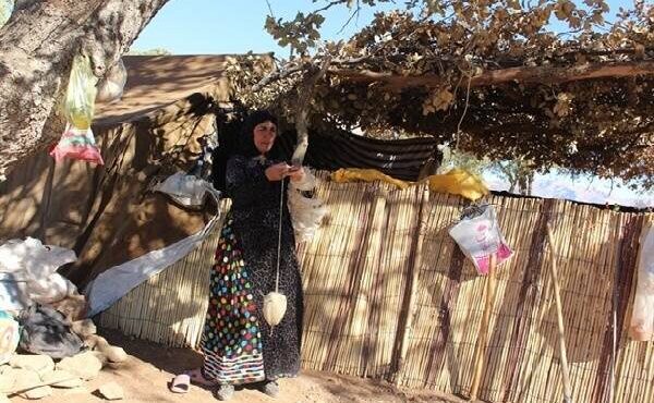 «عشایر در برزخ کوچ و یکجانشینی»؛ فرهنگی که نه زنده مانده نه فراموش شده