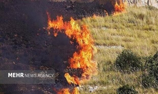 آتش‌سوزی در مزارع ایلام؛ زخمی که بر تن خاک و هوا می‌نشیند