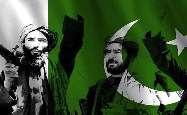 الجزیره از درگیری های مرزی پاکستان و افغانستان خبر می دهد