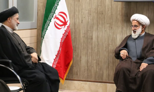 انتقاد آیت‌الله ردایی از سپردن مسئولیت‌ها به افراد غیرمتخصص