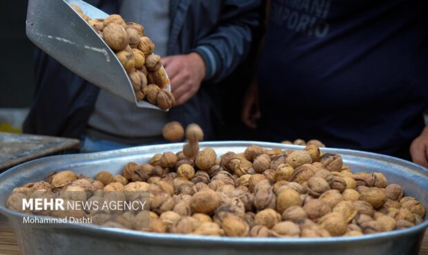 جشنواره گردو در کلور؛ نماد همبستگی اقوام و رونق گردشگری